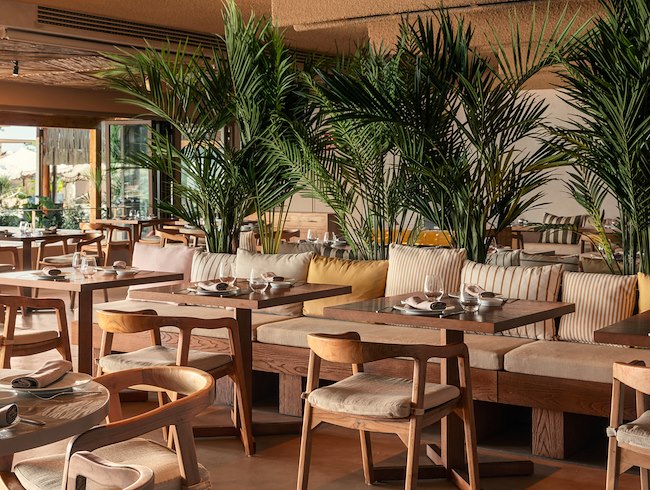 SALT Restaurant & Beach Club